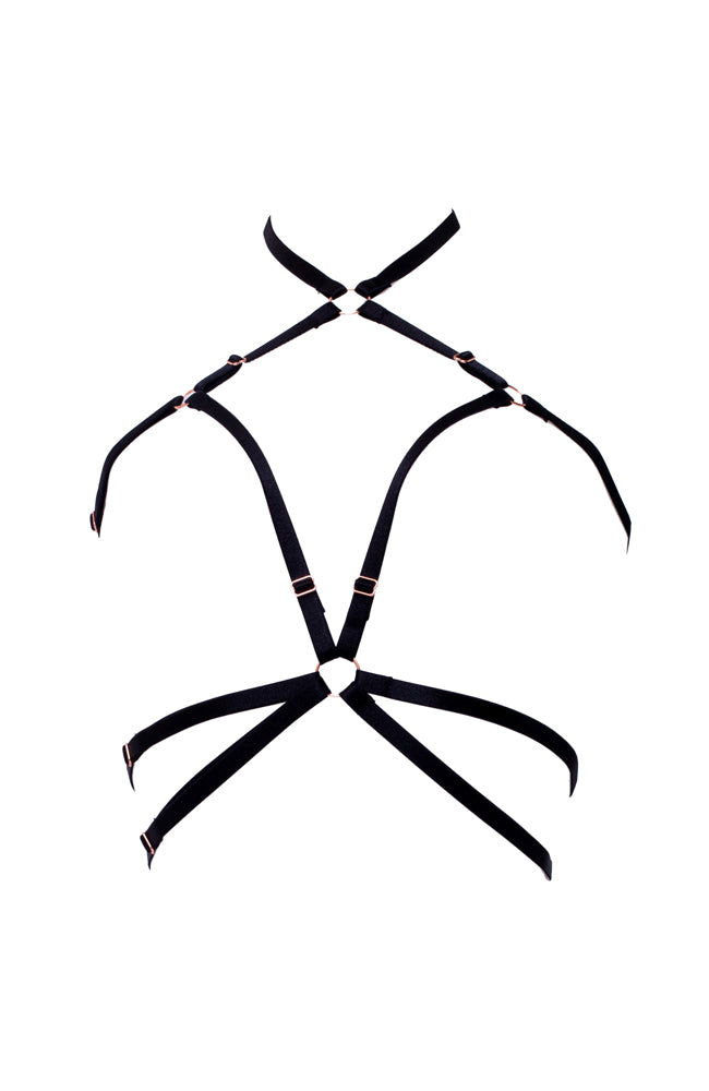 Impel Harness RTS