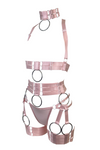 Candy Assent Harness