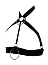 10th Anniversary Harness