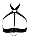 10th Anniversary Harness