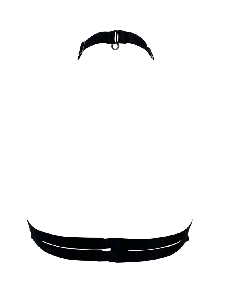 10th Anniversary Harness