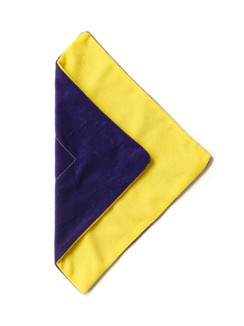 VIVISHINE VIVIWIPE Polishing Cloth